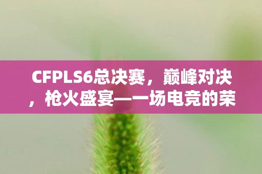 CFPLS6总决赛图片