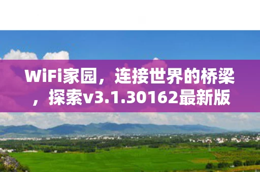 30162最新版本的下载之旅图片