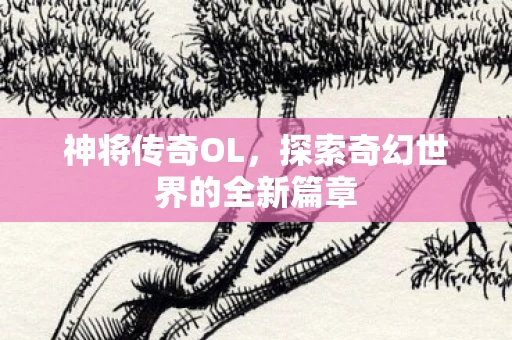 神将传奇OL，探索奇幻世界的全新篇章