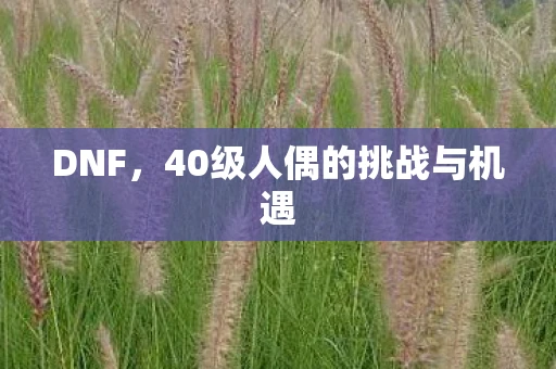 DNF，40级人偶的挑战与机遇