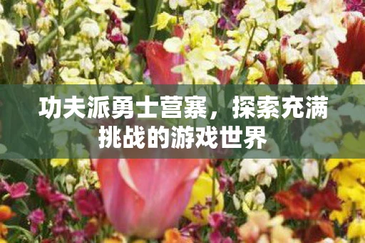功夫派勇士营寨，探索充满挑战的游戏世界