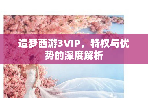 造梦西游3VIP，特权与优势的深度解析
