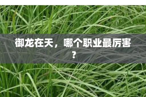 哪个职业最厉害图片