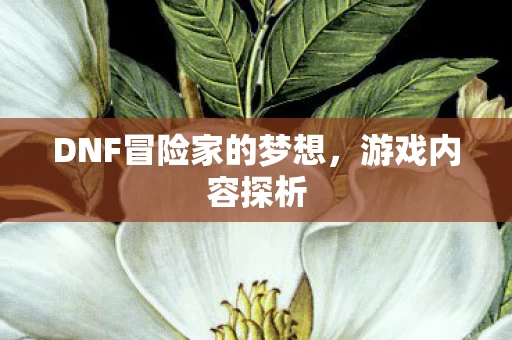 DNF冒险家的梦想图片