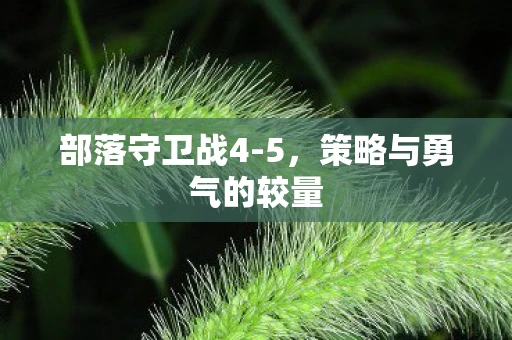 部落守卫战4-5，策略与勇气的较量