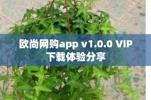 0 VIP下载体验分享图片