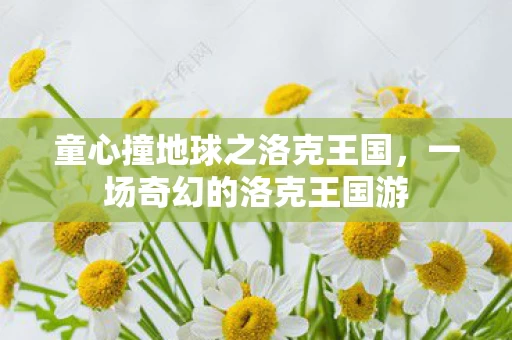 童心撞地球之洛克王国图片