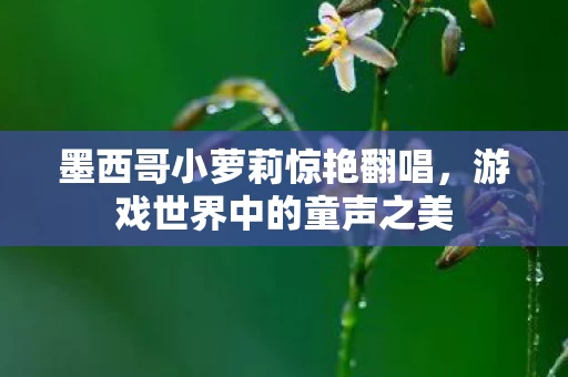 墨西哥小萝莉惊艳翻唱图片
