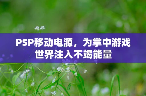 PSP移动电源，为掌中游戏世界注入不竭能量