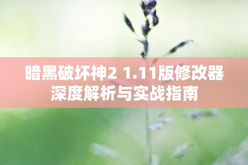 暗黑破坏神2 1.11版修改器深度解析与实战指南