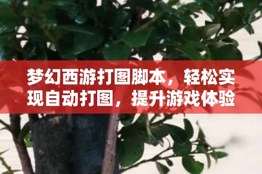 梦幻西游打图脚本，轻松实现自动打图，提升游戏体验