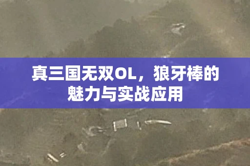 真三国无双OL，狼牙棒的魅力与实战应用