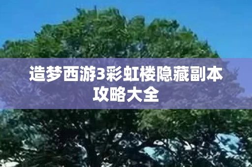 造梦西游3彩虹楼隐藏副本攻略大全图片
