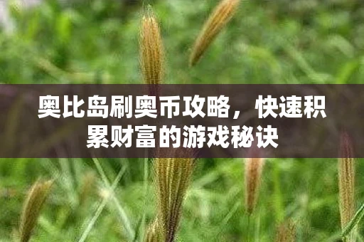 奥比岛刷奥币攻略，快速积累财富的游戏秘诀