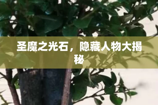 隐藏人物大揭秘图片