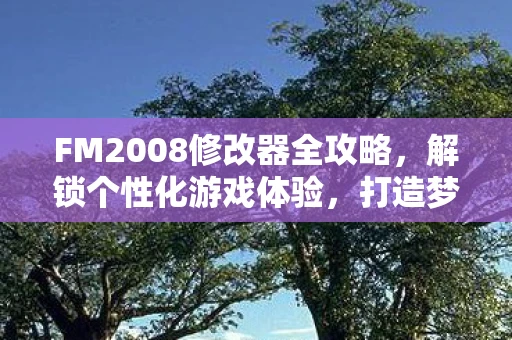 FM2008修改器全攻略，解锁个性化游戏体验，打造梦幻足球世界