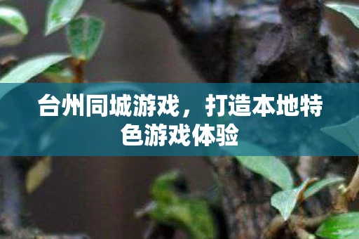 台州同城游戏，打造本地特色游戏体验