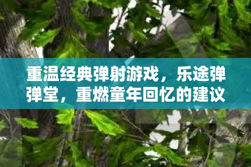 重温经典弹射游戏，乐途弹弹堂，重燃童年回忆的建议