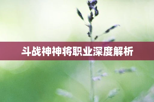 斗战神神将职业深度解析