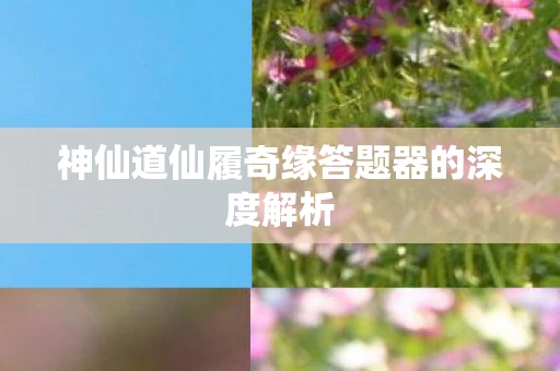 神仙道仙履奇缘答题器的深度解析