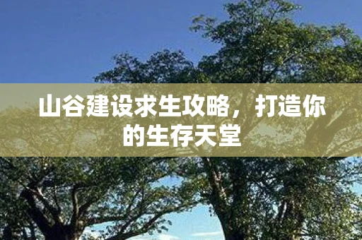山谷建设求生攻略，打造你的生存天堂