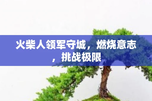 火柴人领军守城，燃烧意志，挑战极限