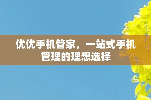 优优手机管家，一站式手机管理的理想选择
