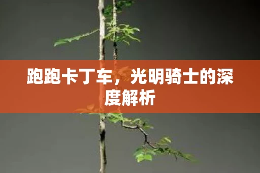 光明骑士的深度解析图片