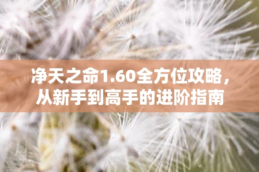 净天之命1.60全方位攻略，从新手到高手的进阶指南