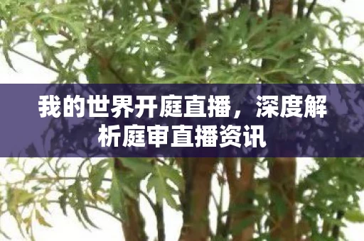 深度解析庭审直播资讯图片
