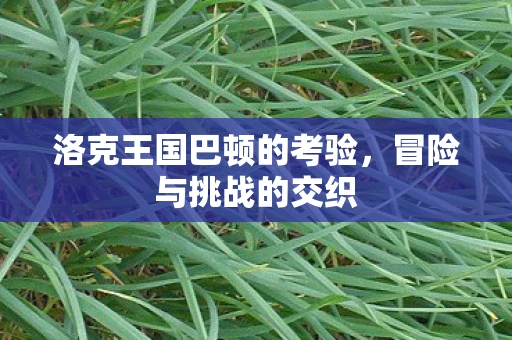 洛克王国巴顿的考验，冒险与挑战的交织