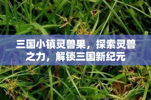 三国小镇灵兽果，探索灵兽之力，解锁三国新纪元