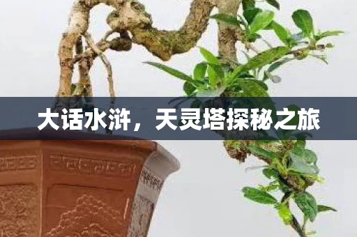 大话水浒，天灵塔探秘之旅