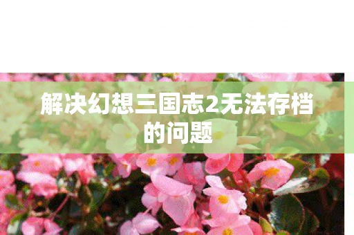 解决幻想三国志2无法存档的问题