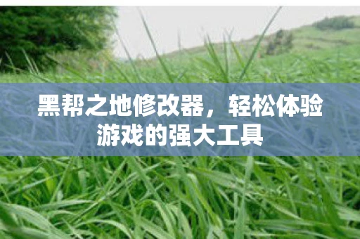 黑帮之地修改器，轻松体验游戏的强大工具