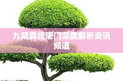 九阴真经唐门深度解析资讯频道图片