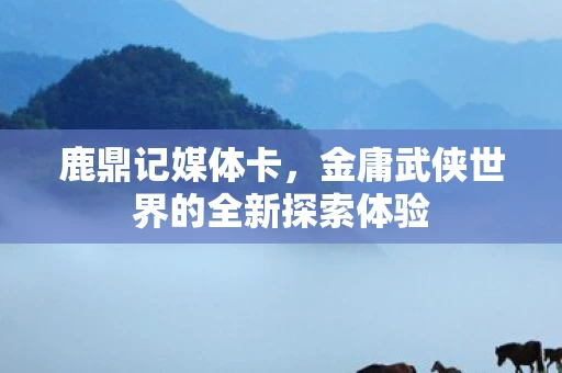 鹿鼎记媒体卡，金庸武侠世界的全新探索体验