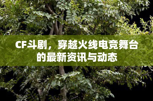 穿越火线电竞舞台的最新资讯与动态图片
