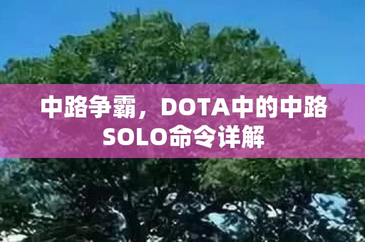 DOTA中的中路SOLO命令详解图片