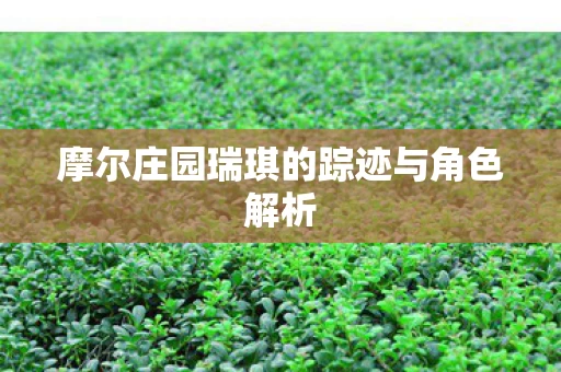 摩尔庄园瑞琪的踪迹与角色解析图片