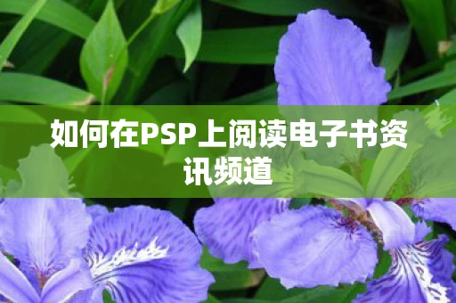 如何在PSP上阅读电子书资讯频道图片