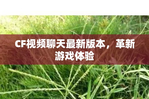 CF视频聊天最新版本图片