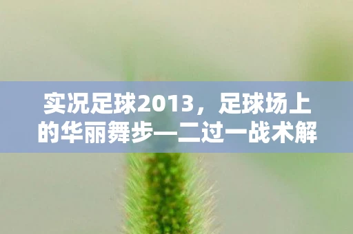 实况足球2013，足球场上的华丽舞步—二过一战术解析