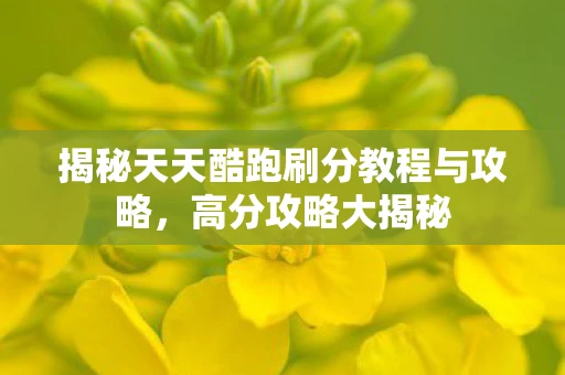 揭秘天天酷跑刷分教程与攻略，高分攻略大揭秘