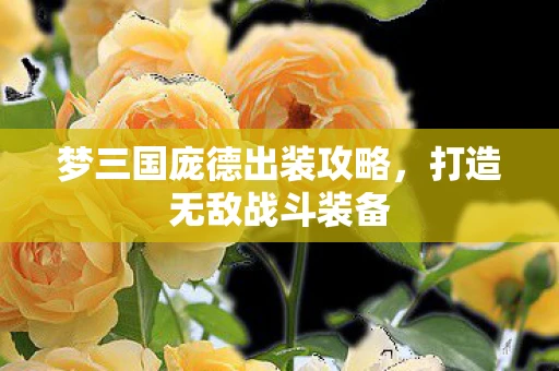 梦三国庞德出装攻略，打造无敌战斗装备