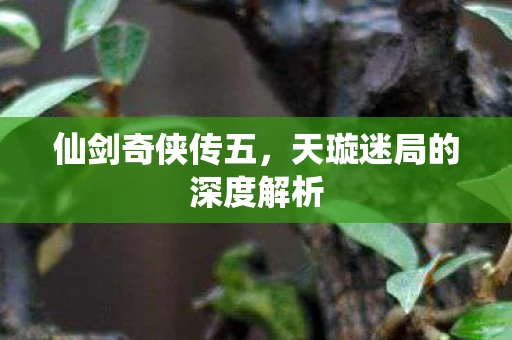 仙剑奇侠传五，天璇迷局的深度解析