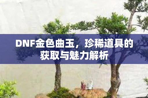 DNF金色曲玉，珍稀道具的获取与魅力解析