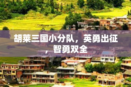 胡莱三国小分队图片