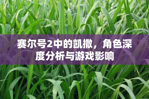 角色深度分析与游戏影响图片