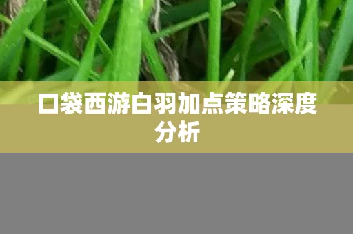 口袋西游白羽加点策略深度分析图片